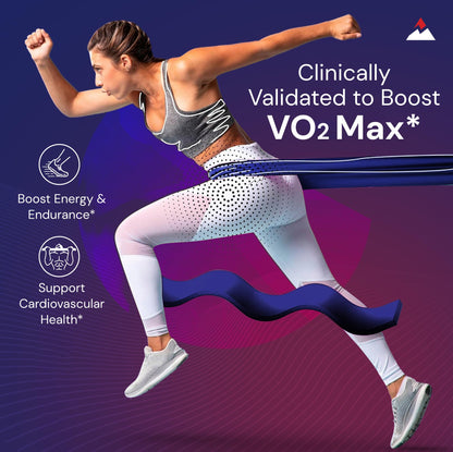 Novex Biotech Oxydrene NAD+ Enhancer - Natural Supplement Promoting Metabolism and Cardiovascular Support for Men and Women - (60 Capsules) Novex BiotechBuy Supplements Australia