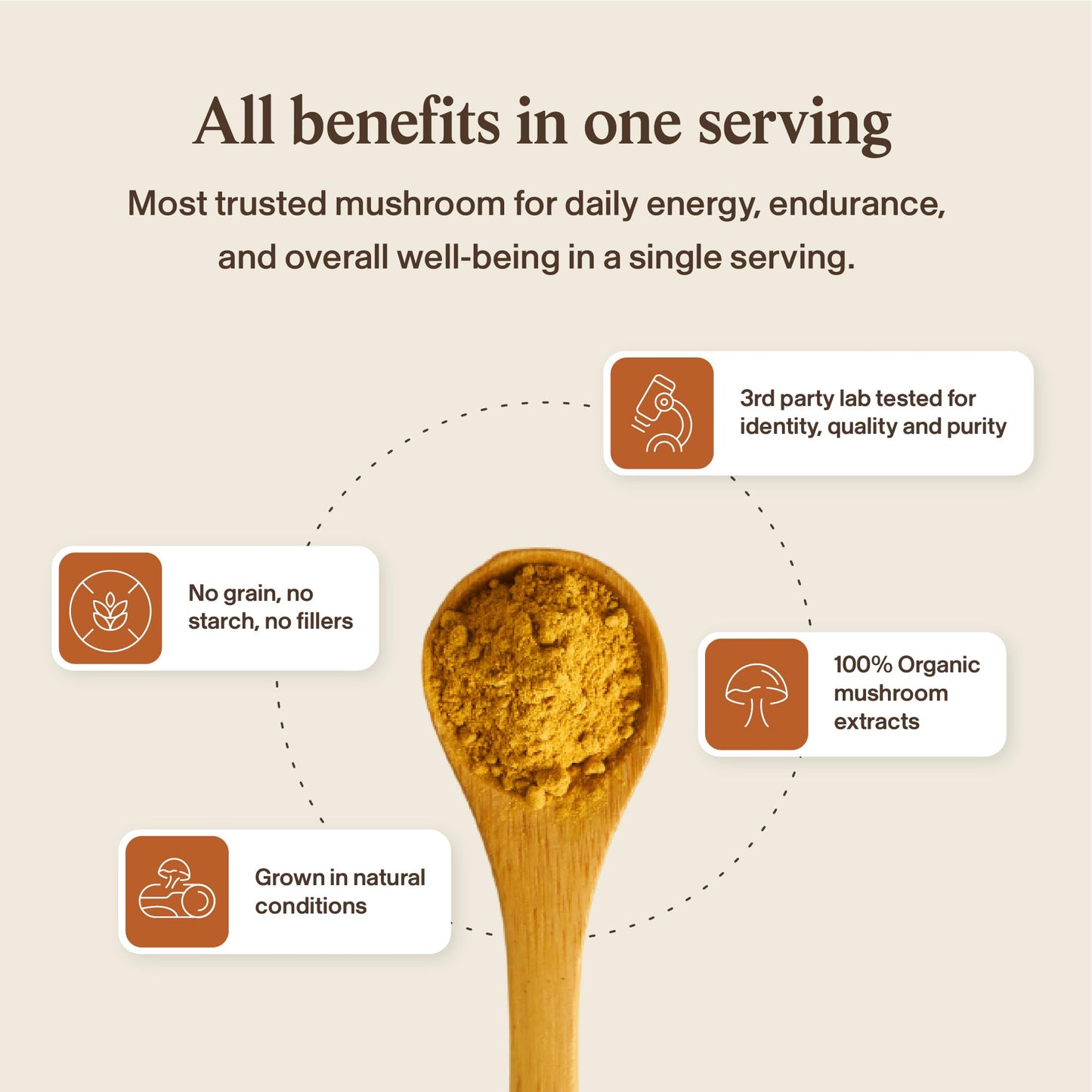 Real Mushrooms Supplement Capsules - Cordyceps Mushroom Powder Rich in Beta Glucans - Mushroom Pills Cordyceps for Energy and Performance - Vegan, Non-GMO, No Grain Fillers, 120 ct Real MushroomsBuy Supplements Australia