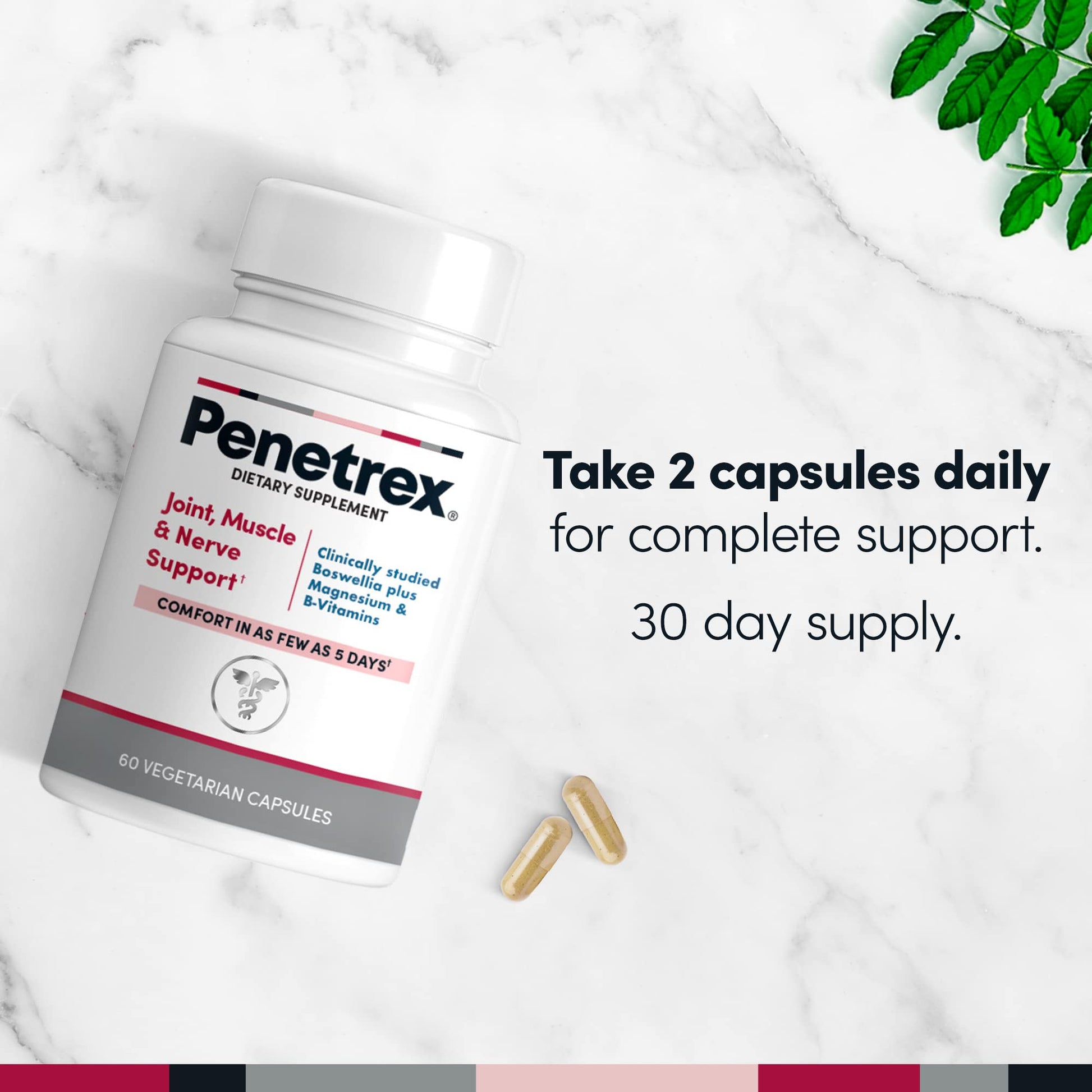 Penetrex Joint, Muscle and Nerve Support Supplement with 3 oz Joint & Muscle Therapy Roll-On Gel PenetrexBuy Supplements Australia