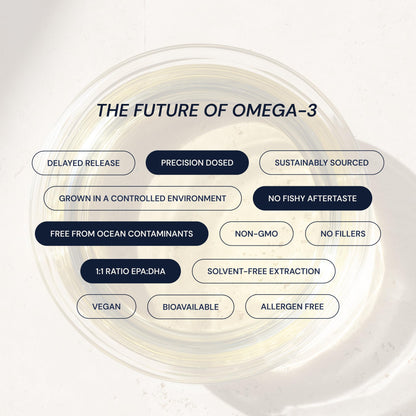 Blueprint Bryan Johnson Omega-3 - Vegan Algae Omega 3 Supplement with EPA/DHA - 800mg Plant-Based for Brain, Heart & Joint Support - High Absorption Triglyceride Form - 1:1 EPA/DHA Blueprint Bryan JohnsonBuy Supplements Australia