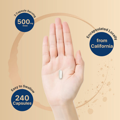 Magnesium Citrate 500mg, 240 Capsules (Citrato de Magnesio) | High Purity Elemental NatureBellBuy Supplements Australia