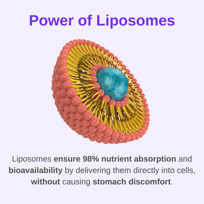 Vitaminally Women's Multivitamin liposomal Liquid Drops with Iron | 30 Day Supply | 3 FL Oz | Non-GMO | Gluten Free | Supports Overall Health, Energy and Beauty VitaminallyBuy Supplements Australia