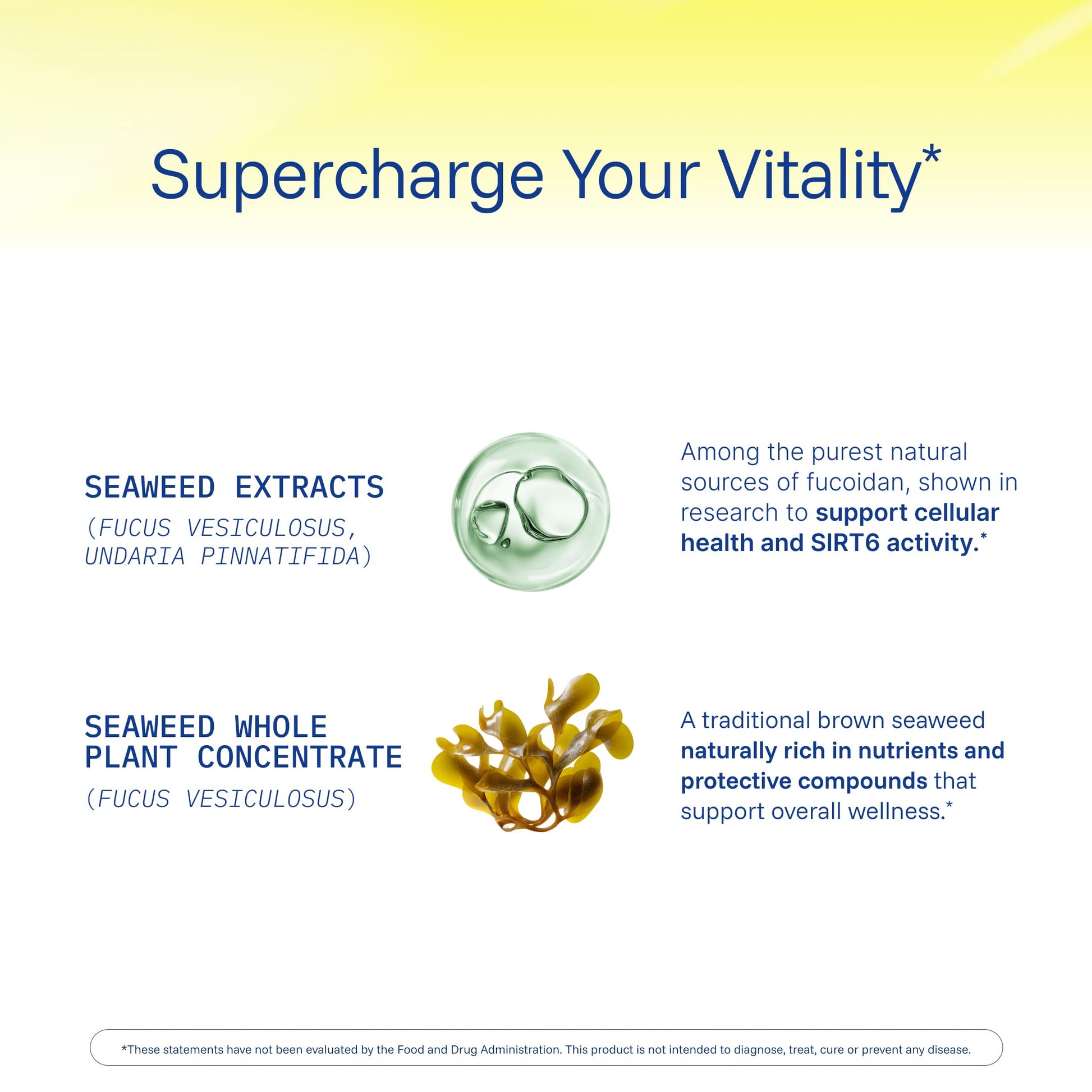 ProHealth Sirtuin 6 Activator | 60 Capsules | Fucoidan-Rich Seaweed Extract to Activate SIRT6 for Longevity, DNA & Cellular Support | Triple Lab-Tested, GMP-Manufactured in USA ProHealthBuy Supplements Australia