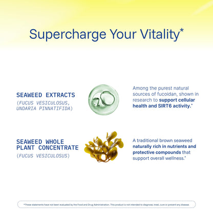 ProHealth Sirtuin 6 Activator | 60 Capsules | Fucoidan-Rich Seaweed Extract to Activate SIRT6 for Longevity, DNA & Cellular Support | Triple Lab-Tested, GMP-Manufactured in USA ProHealthBuy Supplements Australia