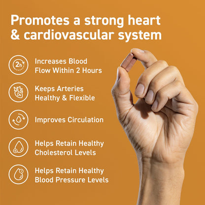 CocoaVia Cardio Health Supplement, 30 Day, 500mg Cocoa Flavanols, Support Heart Health CocoaViaBuy Supplements Australia