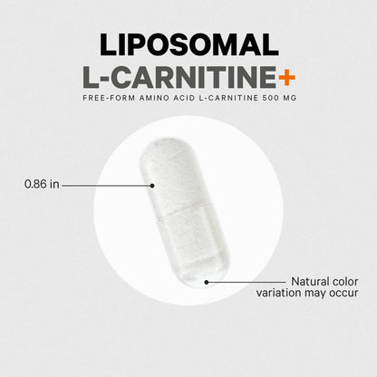 Codeage Liposomal L-Carnitine+ Supplement - 500 mg L-Carnitine L-Tartrate per Serving - Free-Form Amino Acid - Carnitine - Liposomal Delivery - Vegan, Non-GMO, Gluten-Free - 90 Capsules CodeageBuy Supplements Australia