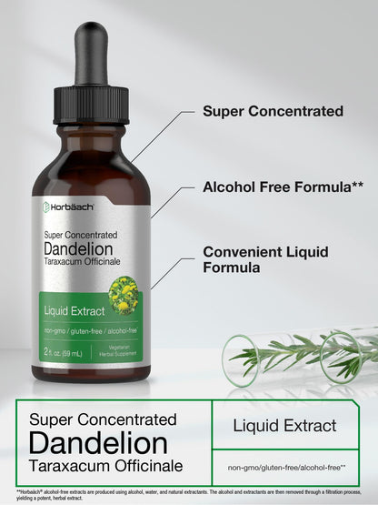 Dandelion Root Extract | 2 fl oz | Super Concentrated | Alcohol Free Liquid Tincture HorbäachBuy Supplements Australia