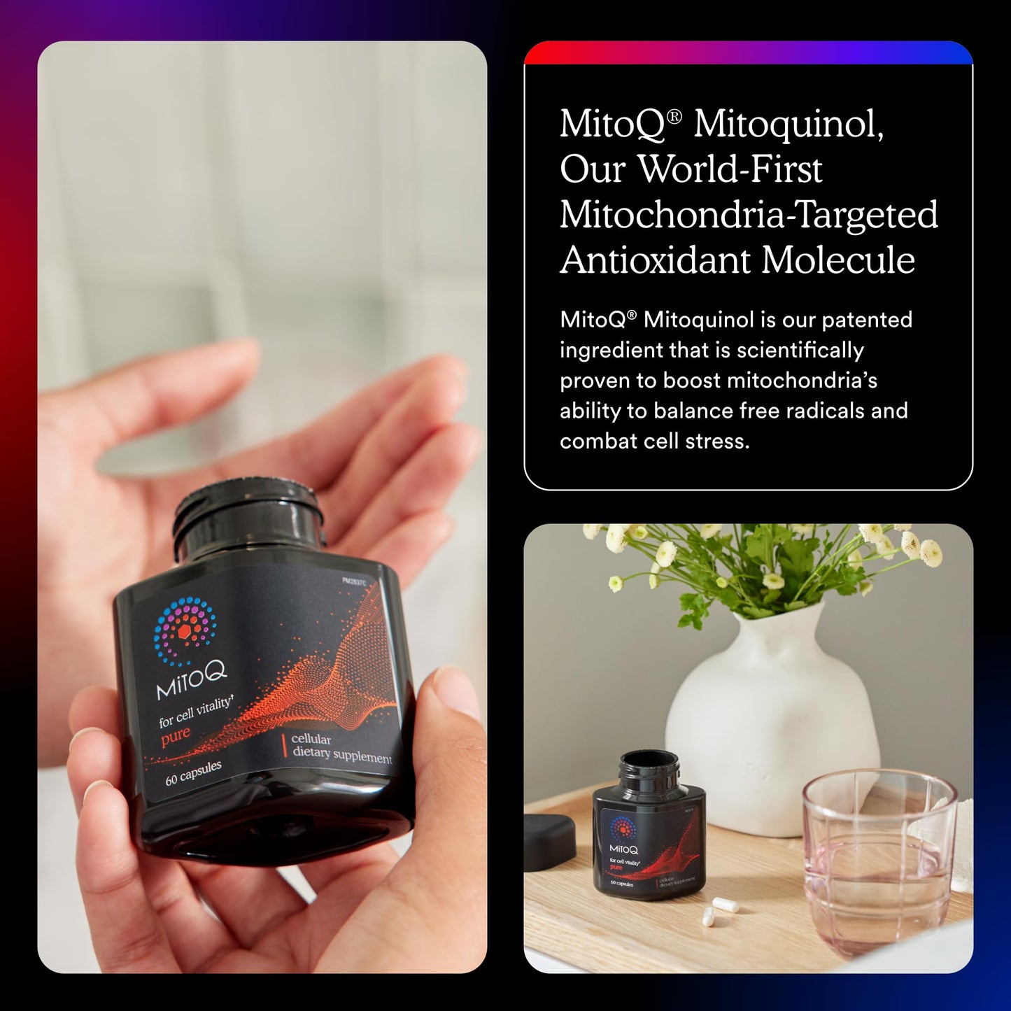 MitoQ Pure Advanced Mitochondria Supplement Superior Bioavailability to CoQ10 | Reduces Free Radical Damage for Healthy Aging, Metabolism, Heart Health, Energy, Strength & Mobility MitoQBuy Supplements Australia