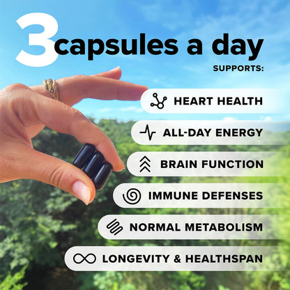 Complement Essential Vegan Multivitamin for Men & Women (30 Servings, 90 Capsules) with Omega-3 DHA & EPA, B12, Vitamin D3 & K2, Zinc, Selenium, Magnesium, Iodine - Supports Immunity & Overall Health ComplementBuy Supplements Australia