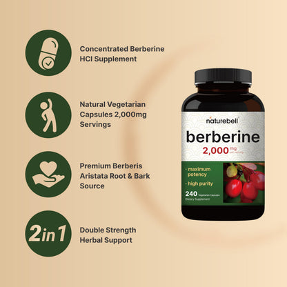 Berberine Supplement 500mg Per Capsule (2,000mg Per Serving) | 240 Veggie Capsules, 97% Pure Berberine HCL – Plant Based, Vegan, Non-GMO NatureBellBuy Supplements Australia