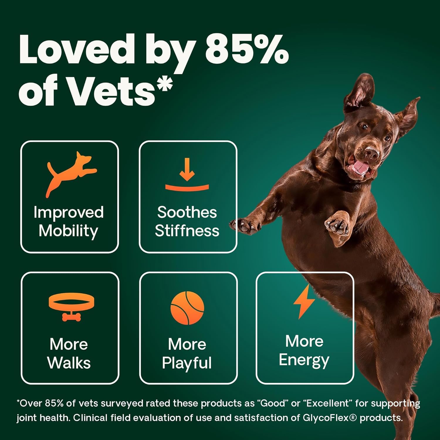 VetriScience Ultimate Strength Healthy Hip & Joint Chews, GlycoFlex Glucosamine, Chondroitin and Green-Lipped Mussel Joint Support Supplement for Dogs, Soothe Joint Discomfort, Duck, 120 Count VETRISCIENCEBuy Supplements Australia