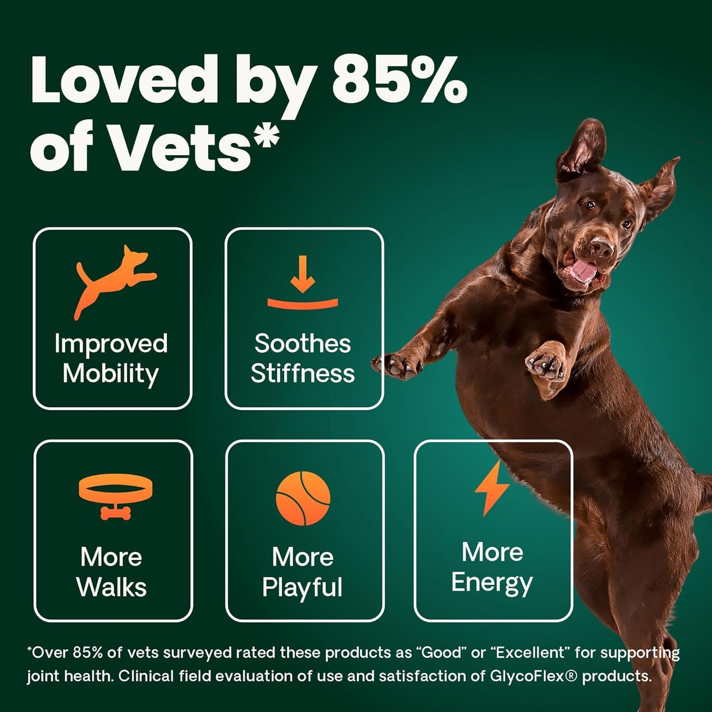 VetriScience Ultimate Strength Hip & Joint Supplement for Dogs, GlycoFlex Plus – MSM, Chondroitin & Green-Lipped Mussel Chews for Mobility, Flexibility, Comfort & Support, Peanut Butter Flavor 120 Cnt VETRISCIENCEBuy Supplements Australia