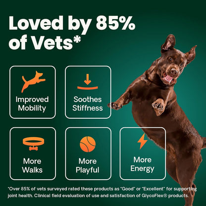 VetriScience Ultimate Strength Hip & Joint Supplement for Dogs, GlycoFlex Plus – MSM, Chondroitin & Green-Lipped Mussel Chews for Mobility, Flexibility, Comfort & Support, Peanut Butter Flavor 120 Cnt VETRISCIENCEBuy Supplements Australia