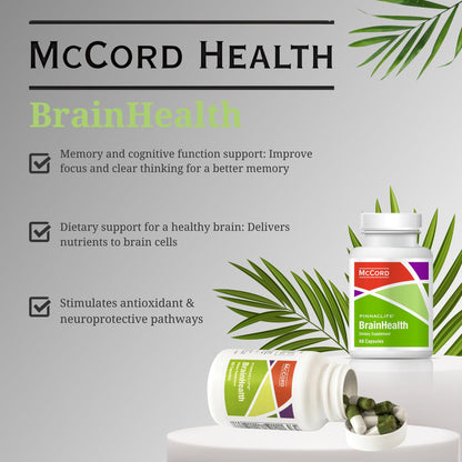 BrainHealth Brain Supplement - Amplify Memory, Increase Focus, Enhance Clarity & Gain Productivity For Men & Women, Olivamine, Vitamin D, Vitamin B6 & B12, Rhodiola Rosea, Magnesium, Taurine PinnaclifeBuy Supplements Australia