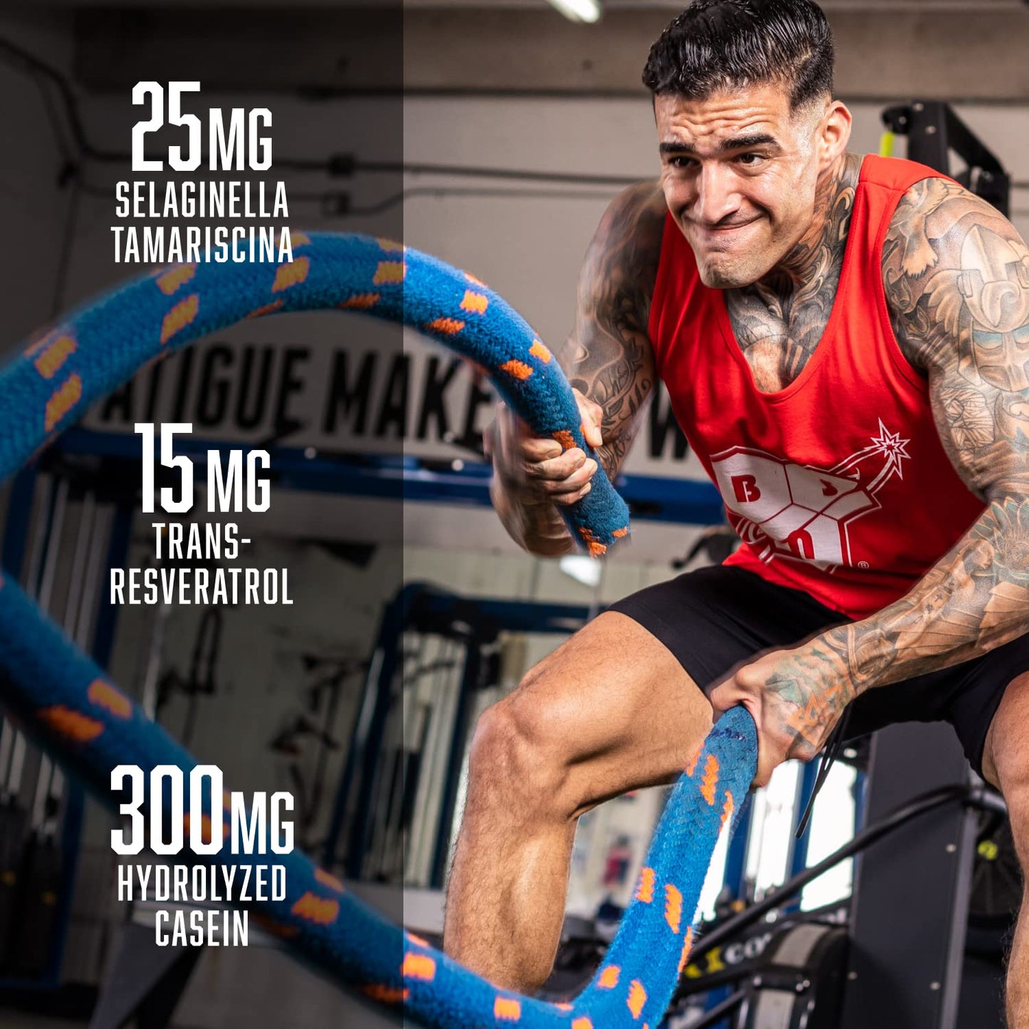 BSN N.O.-XPLODE Vaso Pre Workout Powder with 8g of L-Citrulline and 3.2g Beta-Alanine BSNBuy Supplements Australia