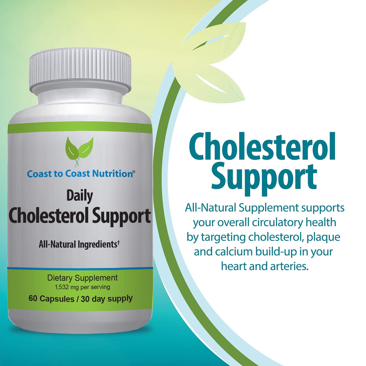 Coast to Coast Nutrition Cholesterol Support Supplement - Support Cardiovascular & Artery Performance, Target Bad LDL Levels & Plaque Calcium Buld-Up - Promote Circulation & Blood Flow - 60 Capsules Coast to Coast NutritionBuy Supplements Australia