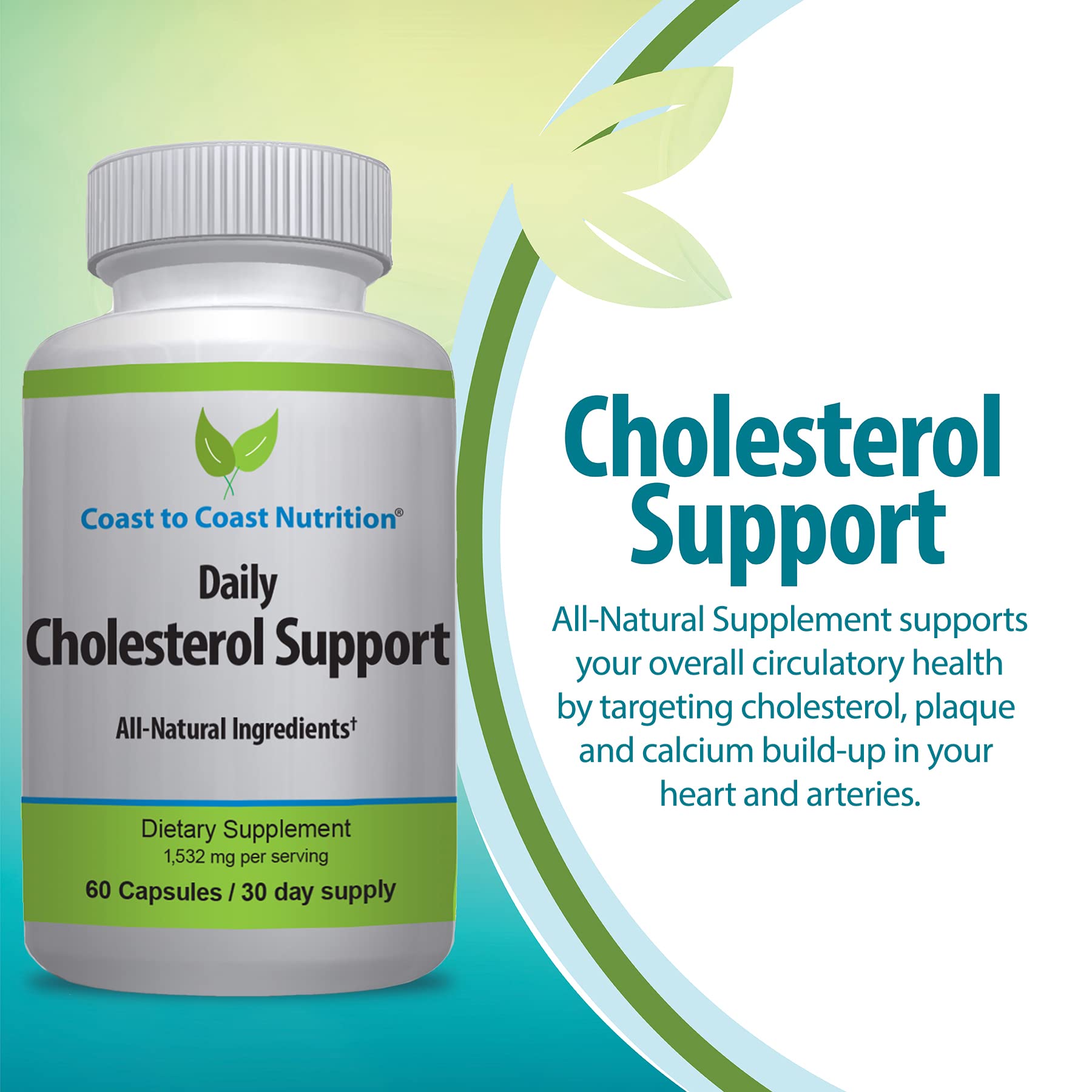 Coast to Coast Nutrition Cholesterol Support Supplement - Support Cardiovascular & Artery Performance, Target Bad LDL Levels & Plaque Calcium Buld-Up - Promote Circulation & Blood Flow - 60 Capsules Coast to Coast NutritionBuy Supplements Australia