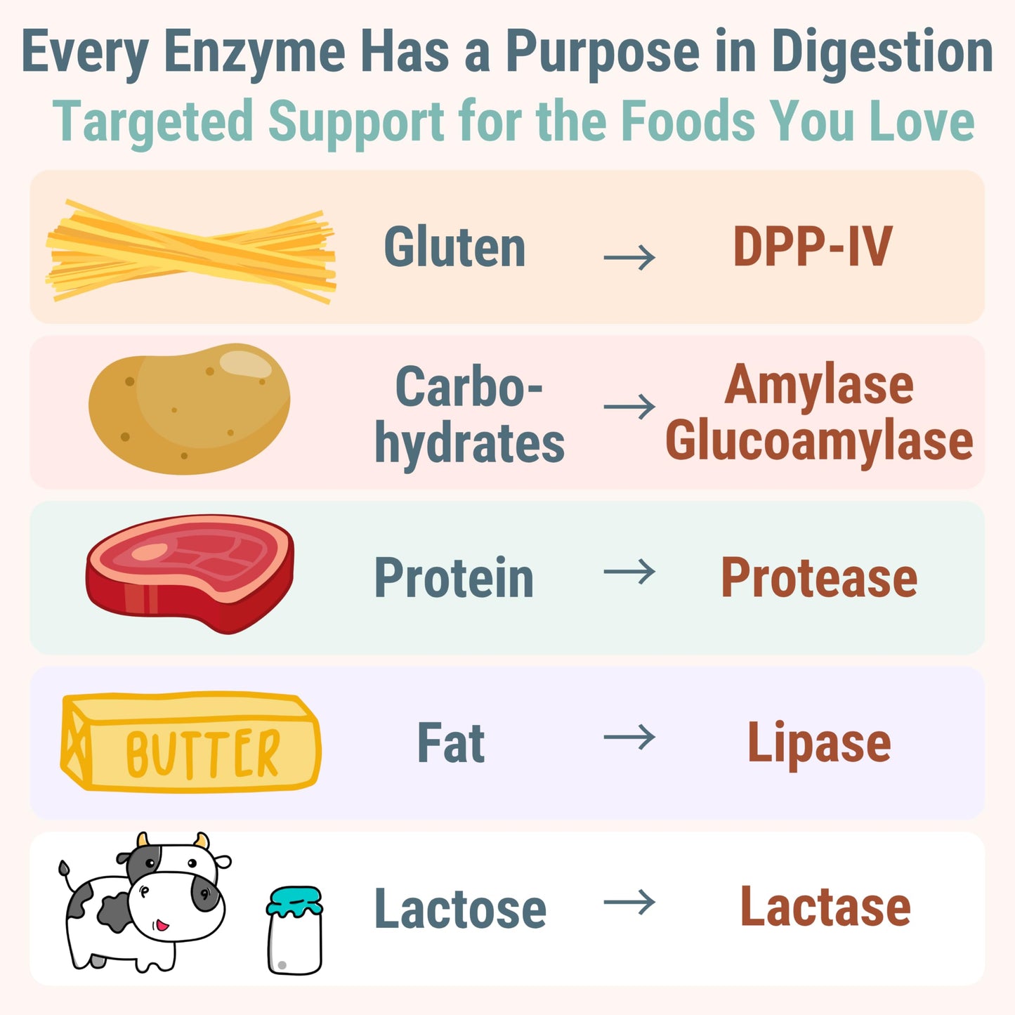 Gluten & Lactase Digestive Enzyme Gummies – Lactase Pancreatic Enzymes with DPP‑IV Lipase Gluco‑Amylase Lactase, Drops Chewables Capsules Pills Powder Supplement Alt, Pancreatic Support, for Kids SHIZAMBuy Supplements Australia