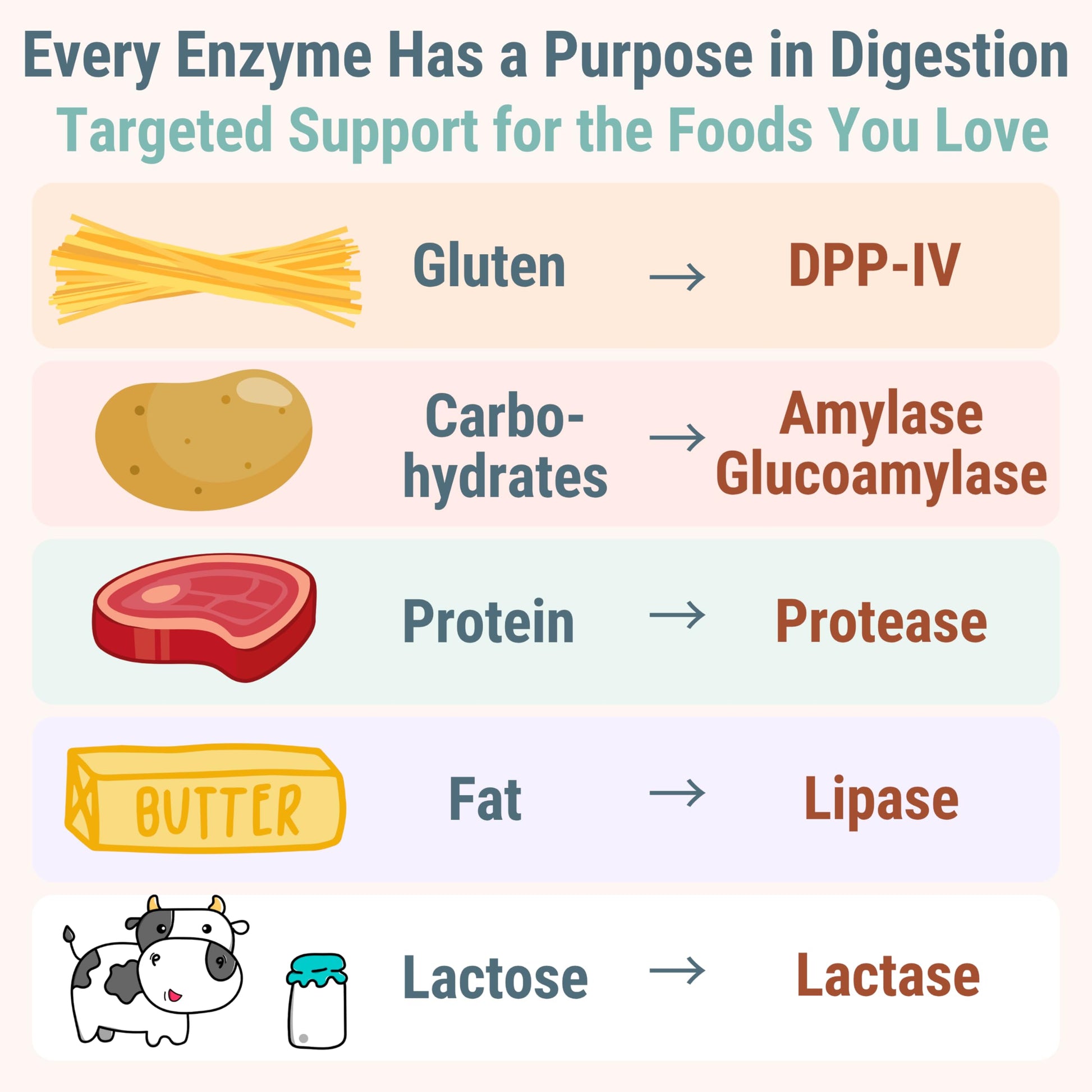 Gluten & Lactase Digestive Enzyme Gummies – Lactase Pancreatic Enzymes with DPP‑IV Lipase Gluco‑Amylase Lactase, Drops Chewables Capsules Pills Powder Supplement Alt, Pancreatic Support, for Kids SHIZAMBuy Supplements Australia