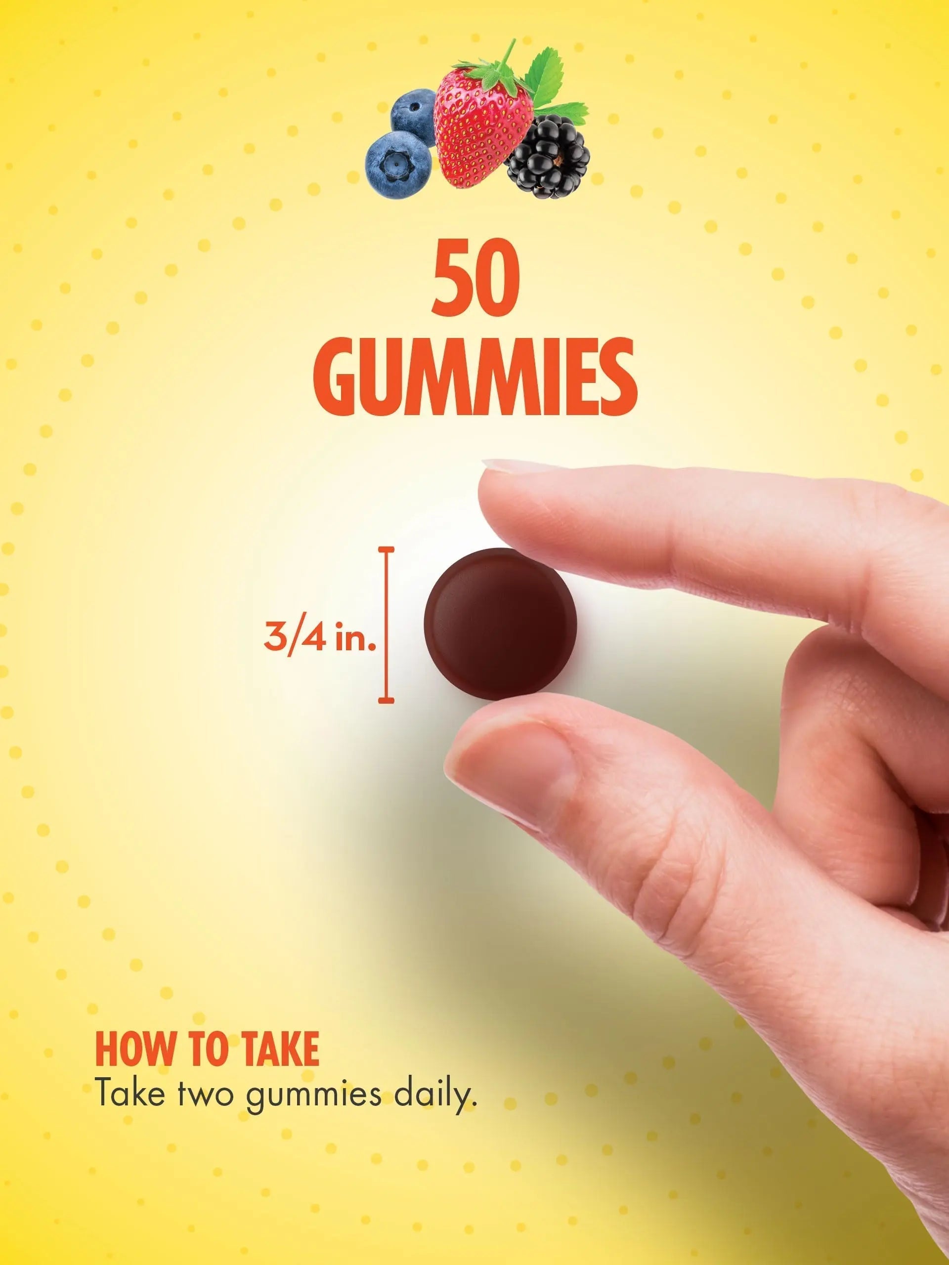 Sundance Multivitamin Gummies for Adults | for Men & Women | Mixed Berry Flavor | Non-GMO and Gluten Free Supplement Sundance