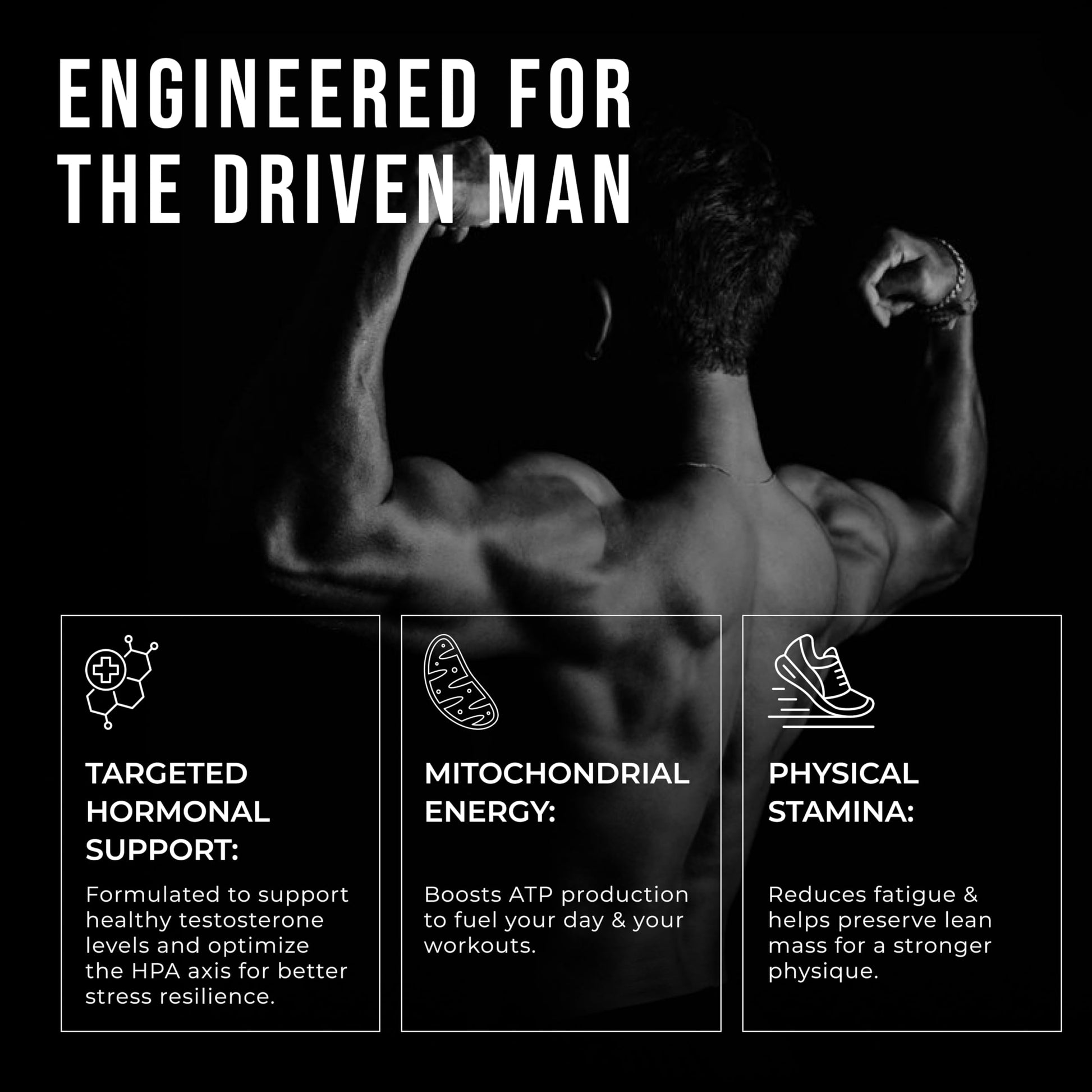 ERODUS Formula for Men - Advanced Testosterone Support Powder - Energy & Gym Supplement for Men - Supports Healthy Testosterone Levels & Physical Performance - with Ashwagandha (30 Day Supply) ERODUSBuy Supplements Australia