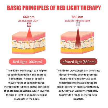 Red Light Infrared Therapy Belt: Pain Relief Device LED Red Light Therapy Lamp Near Body Large Pad Wrap ADVARAYSBuy Supplements Australia