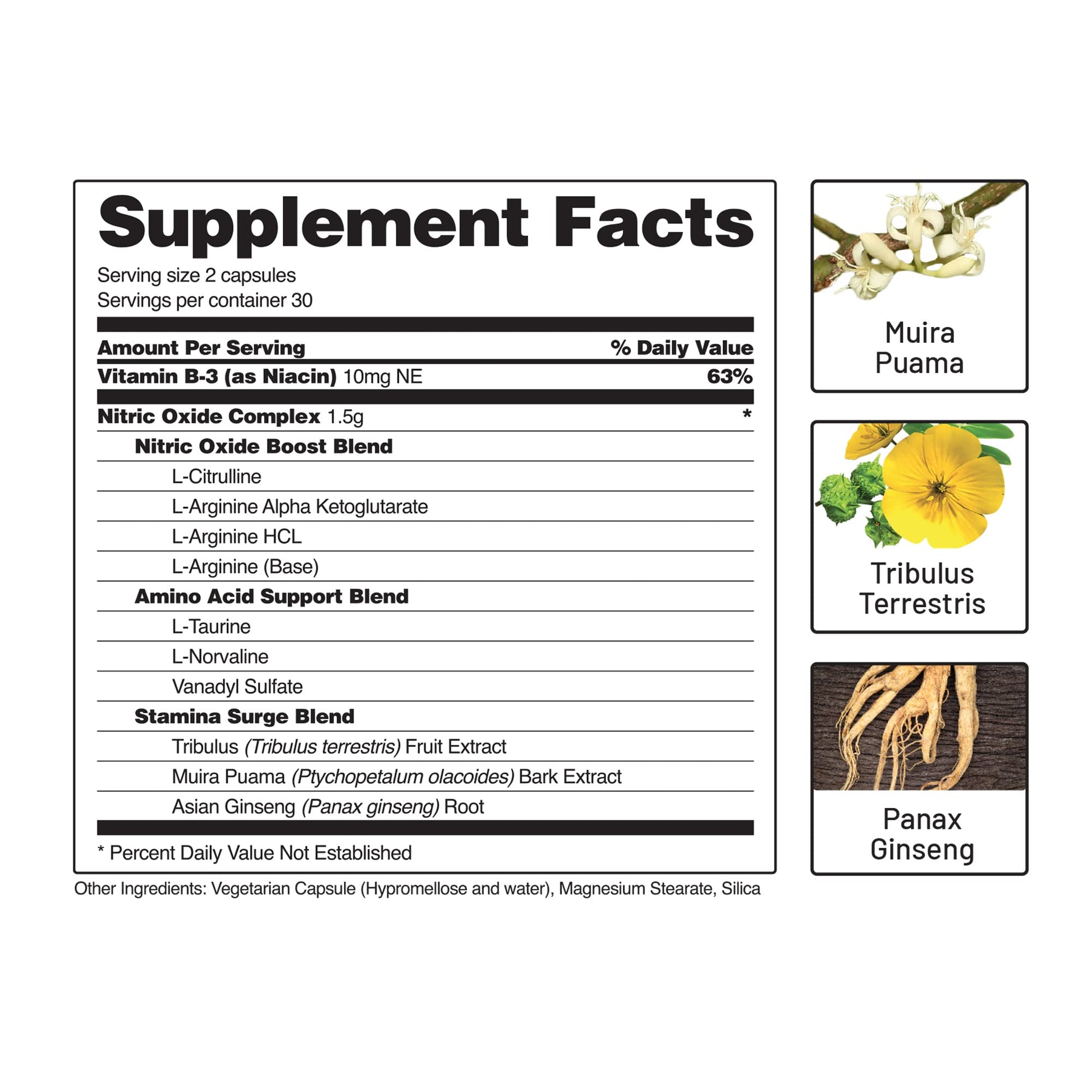 Snap Supplements Nitric Oxide Booster and Beet Powder