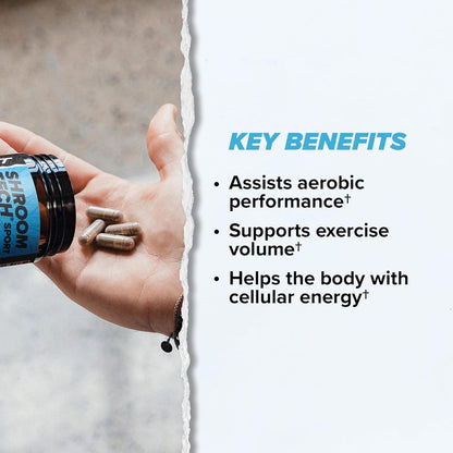 ONNIT Cognitive & Endurance Support Bundle: Alpha Brain Nootropic Capsules (90 Count) + Shroom Tech Sport Exercise Support Capsules (28 Count), IGEN Non-GMO Tested Focus, Energy & Endurance, 2 Pack ONNITBuy Supplements Australia