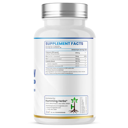 Humming Herbs Tributyrin Complex — 850 mg per Serving (95% Pure, yielding 731 mg Butyrate) with L-Glutamine, Zinc L-Carnosine, FOS & Probiotic Blend (180) Humming HerbsBuy Supplements Australia