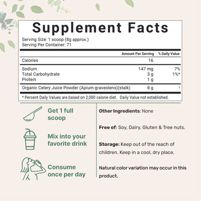 Organic Celery Juice Powder, 20 Ounce (1.25 Pound), 71 Serving, Celery Detox and Cold Micro IngredientsBuy Supplements Australia