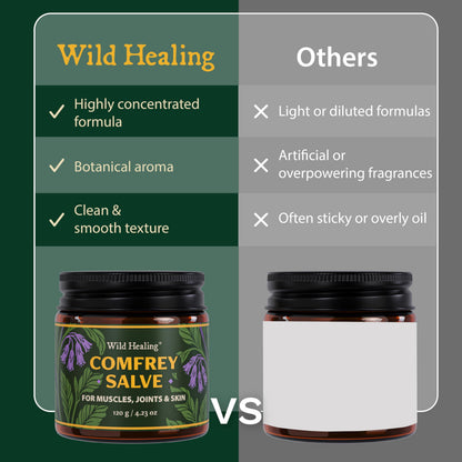 Wild Healing Comfrey Salve – Concentrated Herbal Balm with Arnica, Magnesium & MSM – Soothing Botanical Cream for Joints, Muscles & Dry Skin – 4.23 oz Wild HealingBuy Supplements Australia