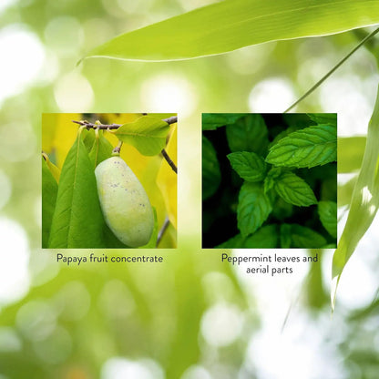 Papaya & Peppermint by Nature's Sunshine Nature's SunshineBuy Supplements Australia