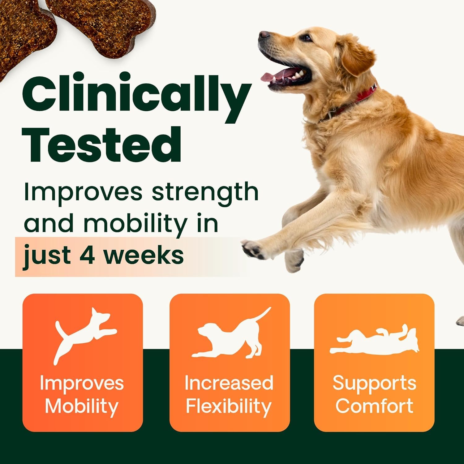 VetriScience Ultimate Strength Hip & Joint Supplement for Dogs, GlycoFlex Plus – MSM, Chondroitin & Green-Lipped Mussel Chews for Mobility, Flexibility, Comfort & Support, Peanut Butter Flavor 120 Cnt VETRISCIENCEBuy Supplements Australia