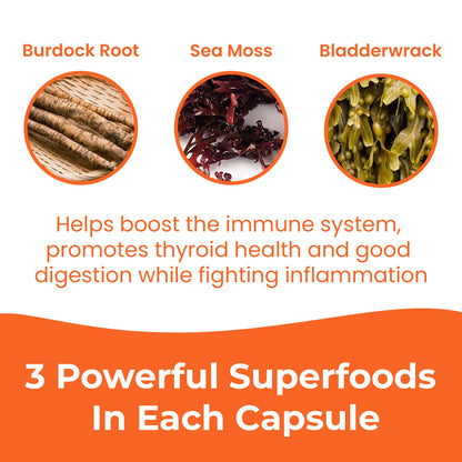 INFINITE AGE 1250mg Sea Moss Advanced Superfood Capsules, 60 Count - High-Potency, Vegan, Made in The USA - Irish Seamoss, Bladderwrack,