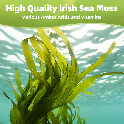 HEALOADING Sea Moss Capsules：Wildcrafted Organic Irish Seamoss & Bladderwack - Rich in Minerals, Supports Thyroid Health, Digestion, Skin & Immune System - Vegan, Non-GMO HEALOADINGBuy Supplements Australia