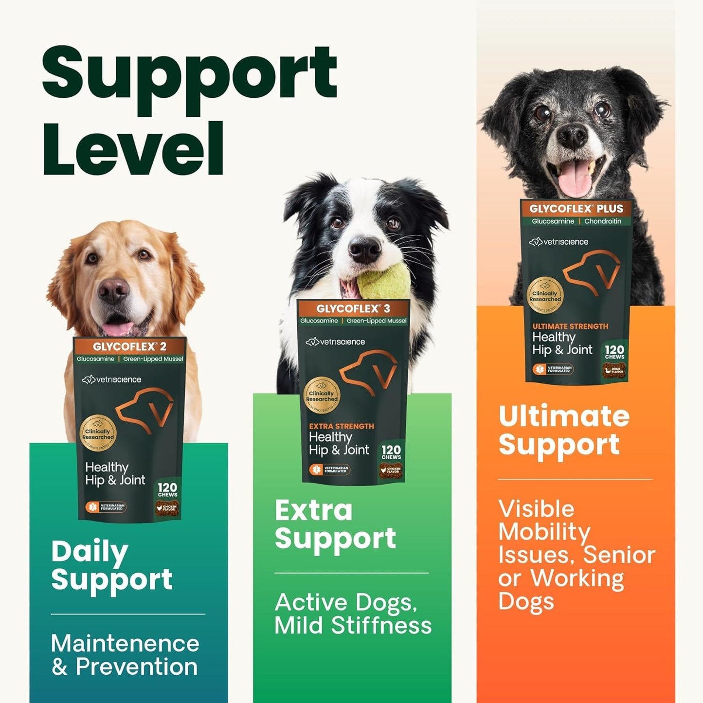 VetriScience Ultimate Strength Hip & Joint Supplement for Dogs, GlycoFlex Plus – MSM, Chondroitin & Green-Lipped Mussel Chews for Mobility, Flexibility, Comfort & Support, Peanut Butter Flavor 120 Cnt VETRISCIENCEBuy Supplements Australia
