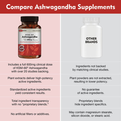 DailyNutra KSM-66 Ashwagandha 600mg Organic Root Extract - High Potency Supplement DailyNutraBuy Supplements Australia