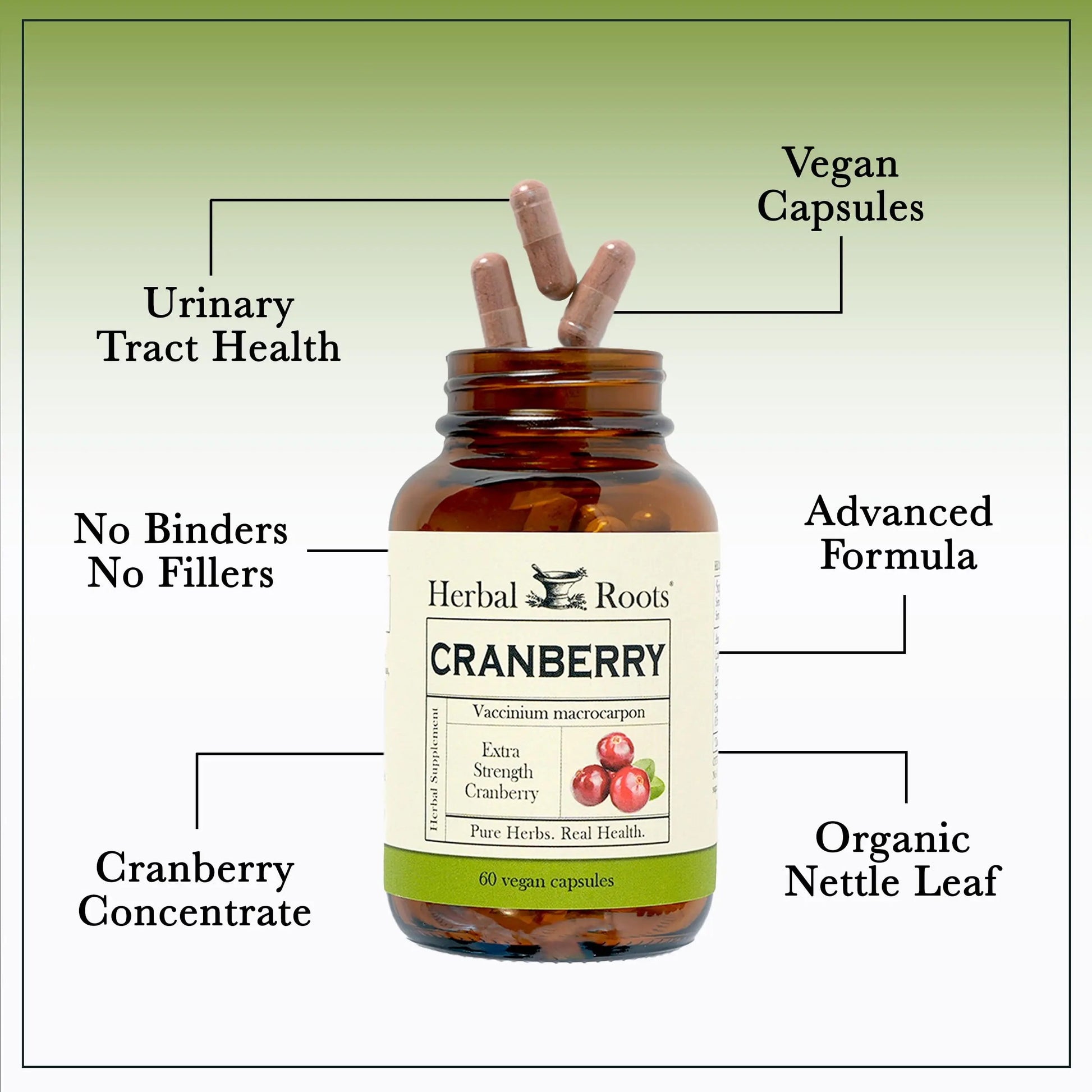 Herbal Roots Extra Strength Cranberry Pills for Women & Men with Organic Nettle | Urinary Tract Health | 60 Vegan Capsules Herbal RootsBuy Supplements Australia