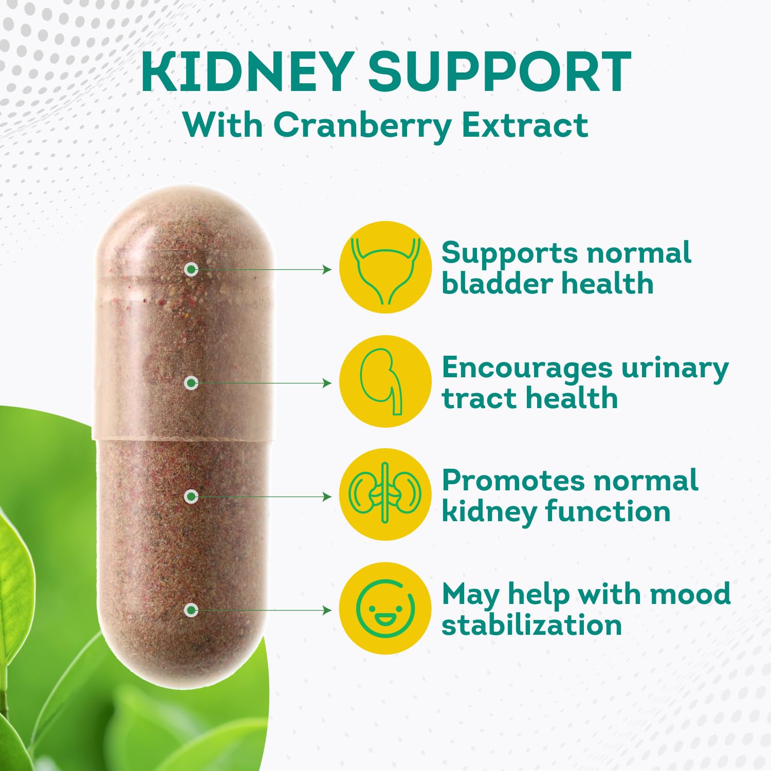 PurePremium Kidney Support Supplement for Men and Women - with Cranberry Extract PurePremium SupplementsBuy Supplements Australia