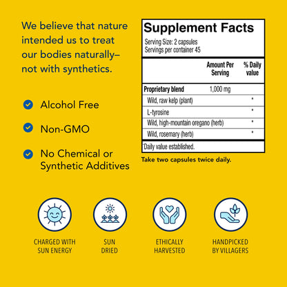 NORTH AMERICAN HERB & SPICE Thyroset - 90 Capsules - Wild Kelp & Herbs Blend - Healthy Thyroid Support - Contains Trace Minerals, Natural Iodine, Antioxidants & Amino Acids - 45 Servings NORTH AMERICAN HERB & SPICEBuy Supplements Australia