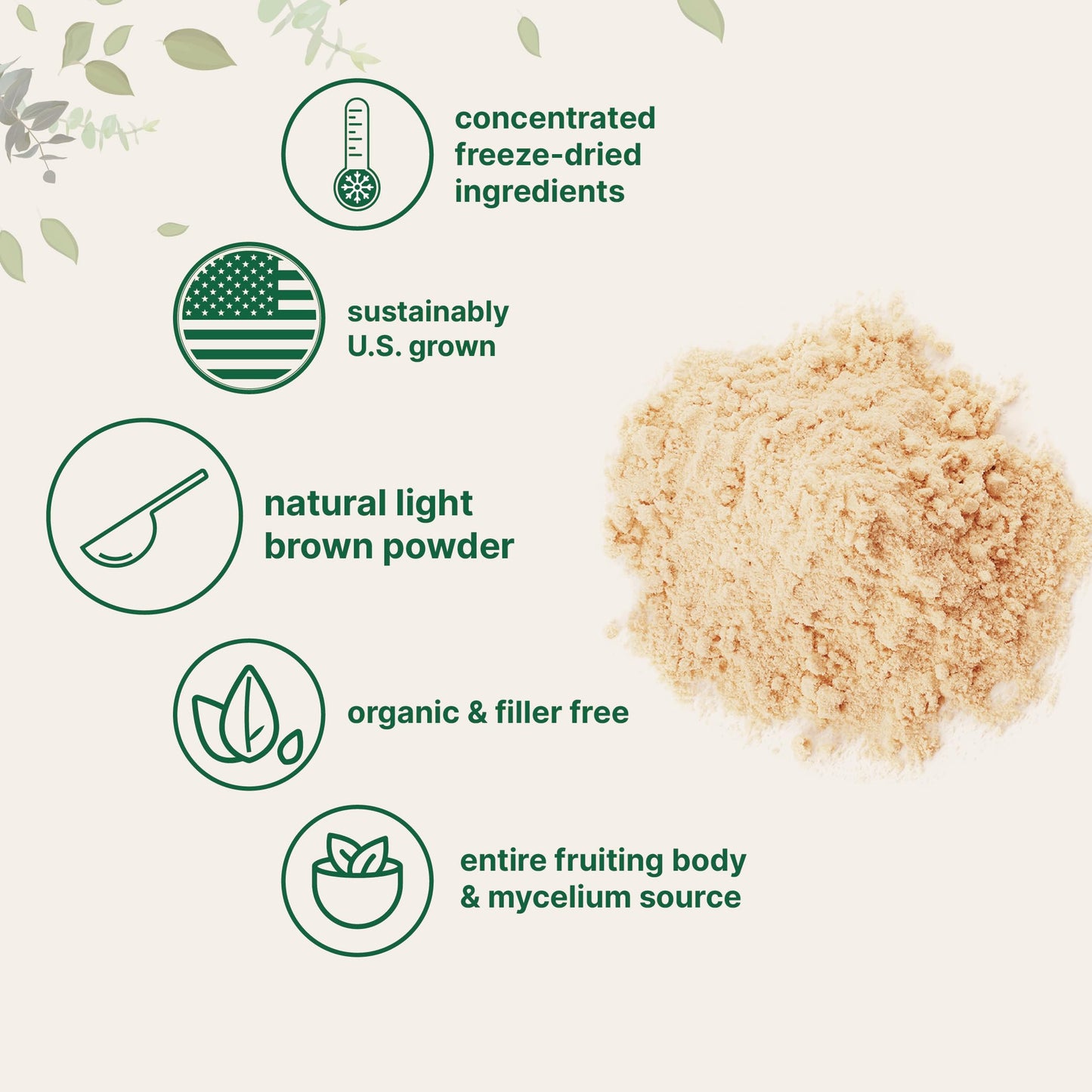 Micro Ingredients Organic Lions Mane Mushroom Supplement Powder 16 Ounce Micro IngredientsBuy Supplements Australia