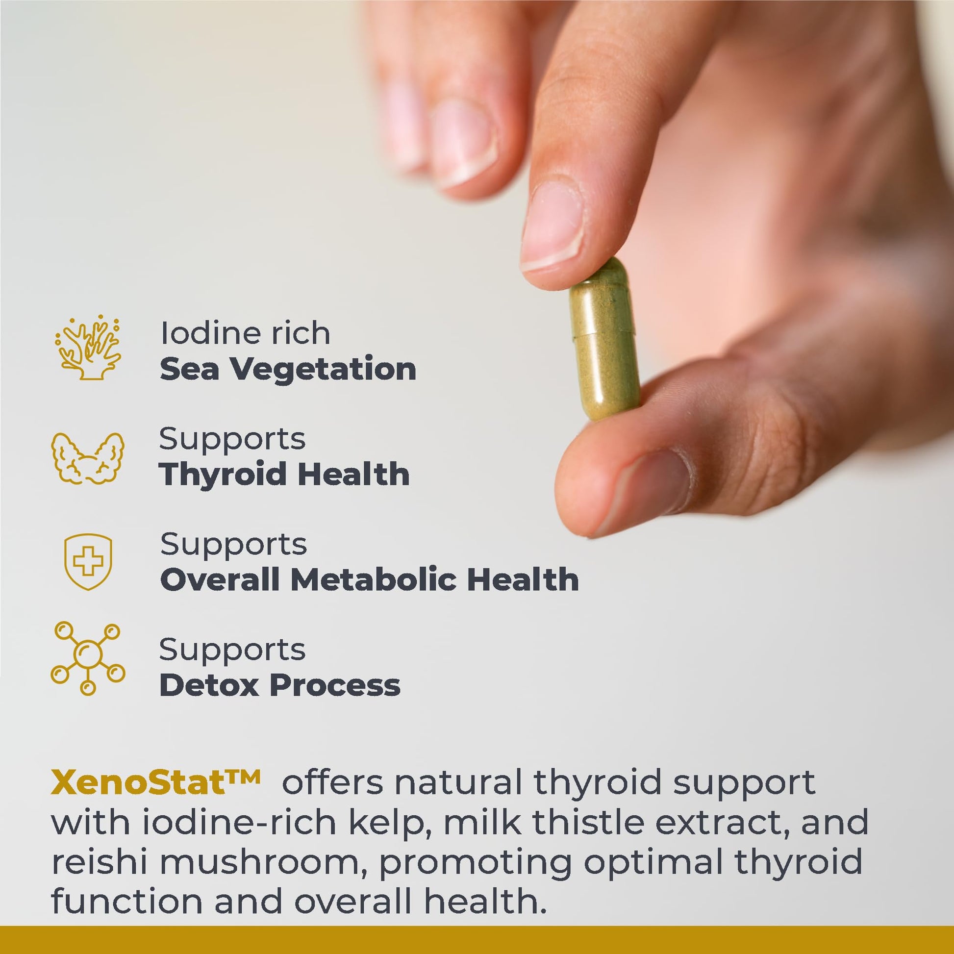 Premier Research Labs XenoStat - Thyroid Supplement, Thyroid Support for Women & Men, Iodine Supplement, Hormone Support, Thyroid Support Complex Supplement - 90 Capsules Premier Research LabsBuy Supplements Australia