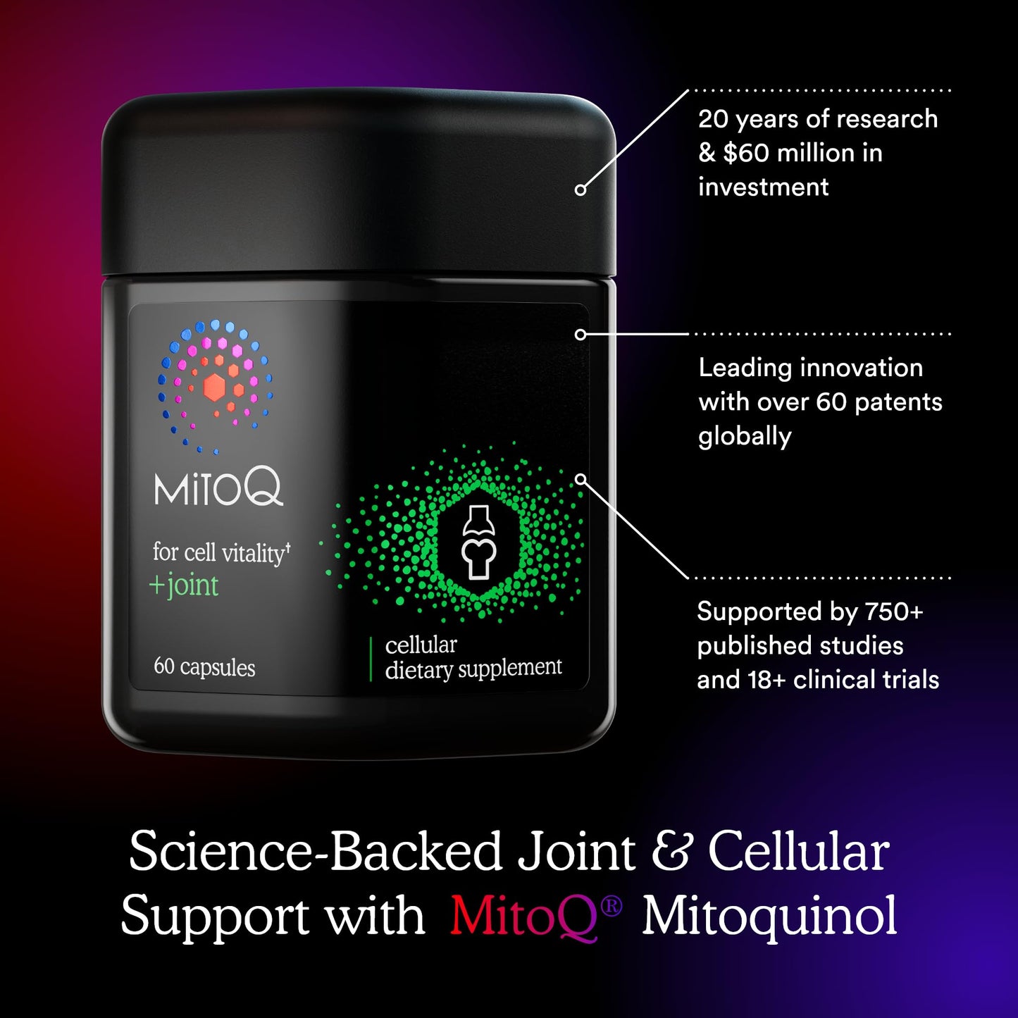 MitoQ +Joint Advanced CoQ10 Antioxidant Supplement - Contains Mitoquinol Mesylate & Green Lipped Mussel Omega Oil Extract - Supports Healthy Joint, Mobility and Cell Vitality (60 Softgel Capsules) MitoQBuy Supplements Australia