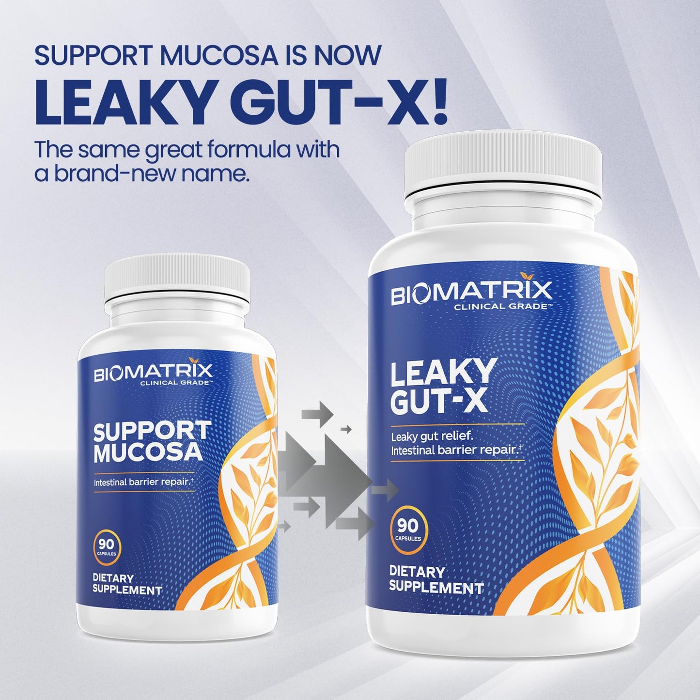 BioMatrix Leaky Gut Repair Supplement w/Glutamine, Quercetin, Cat's Claw, MSM, SIBO, Prebiotic Support, Intestinal Barrier Revive for Men and Women | 60-Day Supply – Leaky Gut-X BioMatrixBuy Supplements Australia