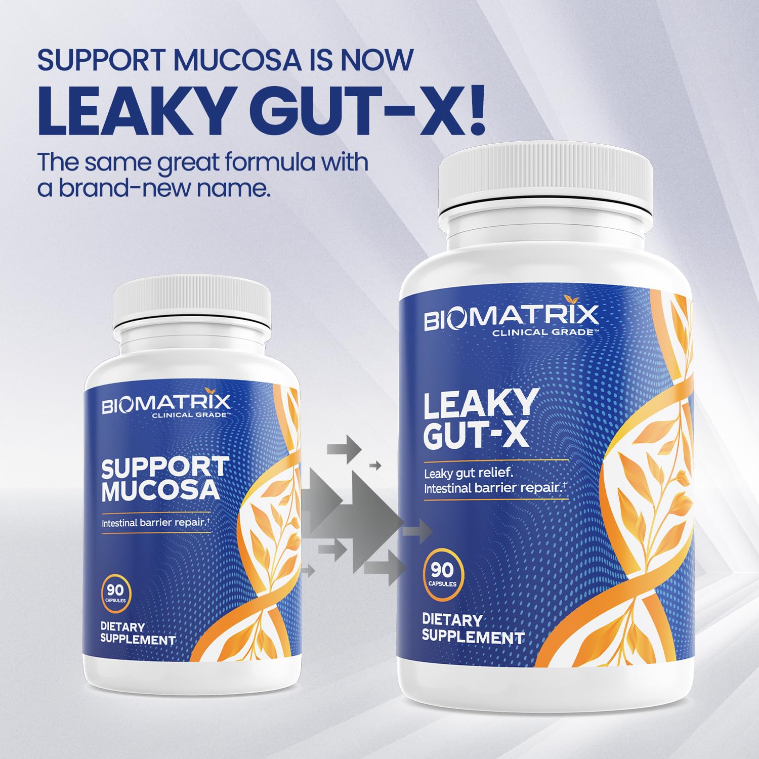 BioMatrix Leaky Gut Repair Supplement w/Glutamine, Quercetin, Cat's Claw, MSM, SIBO, Prebiotic Support, Intestinal Barrier Revive for Men and Women | 60-Day Supply – Leaky Gut-X BioMatrixBuy Supplements Australia