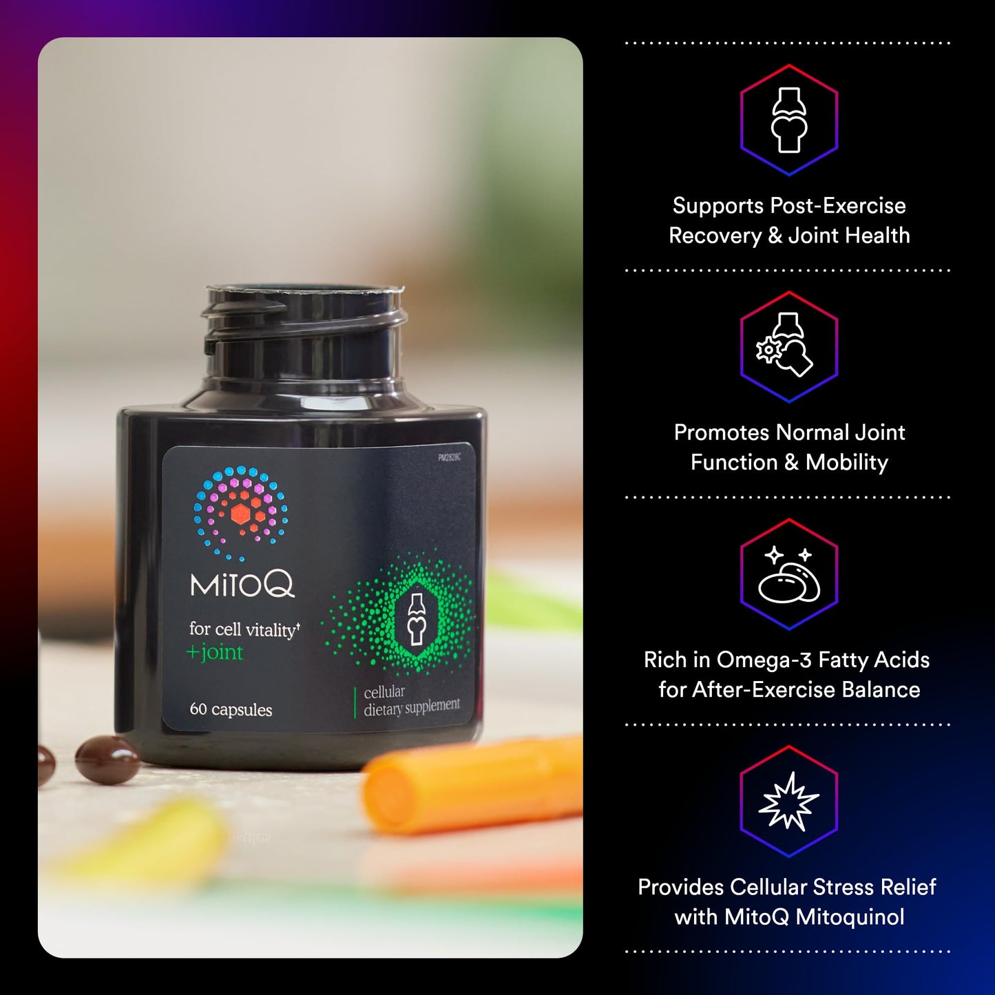 MitoQ +Joint Advanced CoQ10 Antioxidant Supplement - Contains Mitoquinol Mesylate & Green Lipped Mussel Omega Oil Extract - Supports Healthy Joint, Mobility and Cell Vitality (60 Softgel Capsules) MitoQBuy Supplements Australia