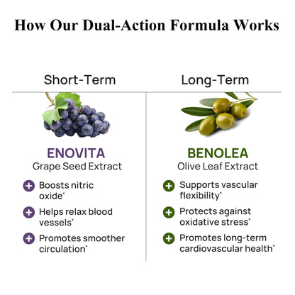 Durable Blood Pressure – Benolea Olive Leaf & Enovita Grape Seed Extract – Healthy Circulation, Nitric Oxide & Artery Support – Doctor Formulated, Vegan, Non-GMO, Made in USA (60 Capsules) DurableBuy Supplements Australia