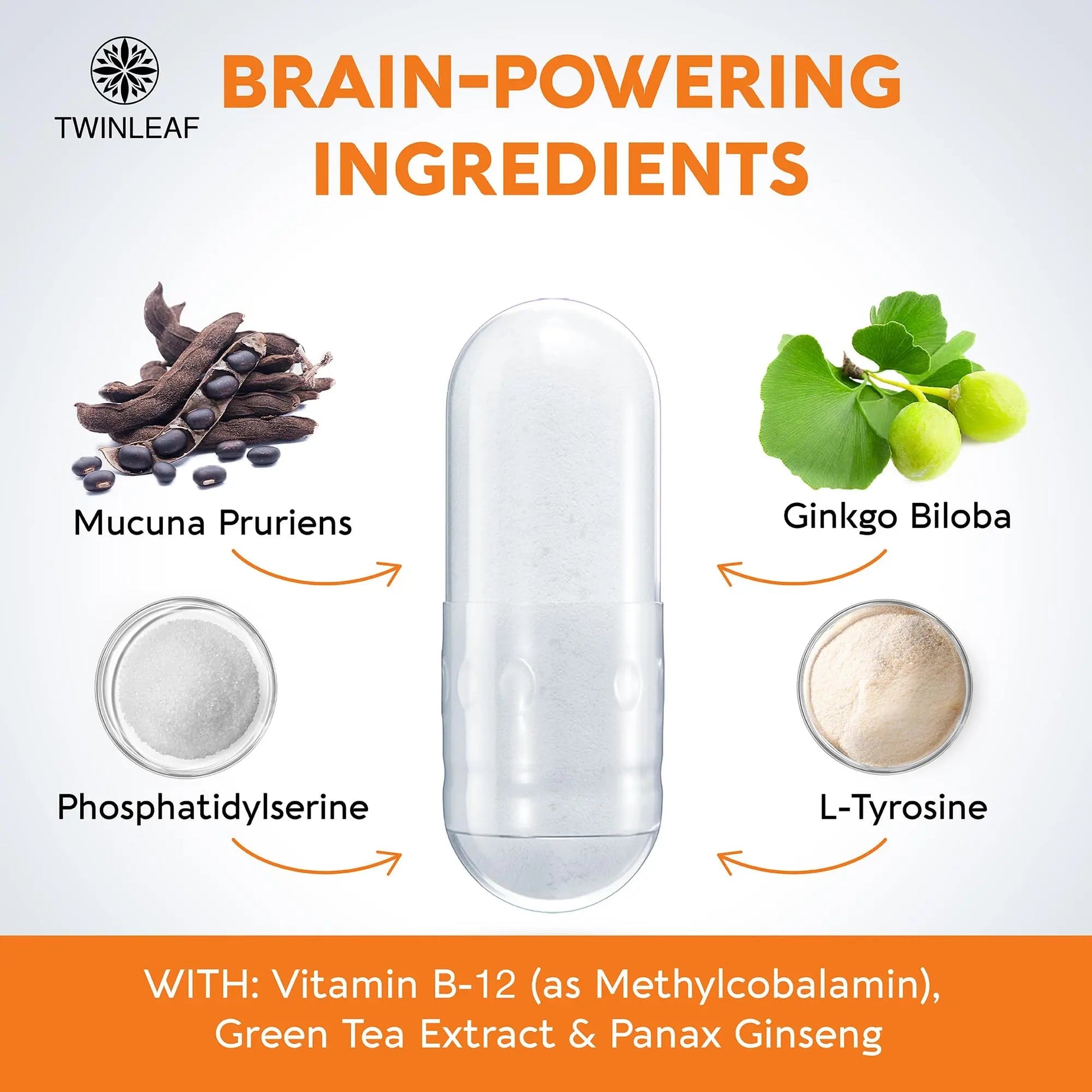 TWINLEAF Dopamine Brain Support Supplement, 1000 mg Blend - Made in USA - with DMAE, Vitamin B12 and L-Tyrosine TWINLEAFBuy Supplements Australia