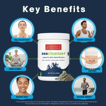 Ocean's Balance Seacleanse+ Daily Detox Cleanse Powder | Gut Health & Immune Support | Supports Gentle Cleanse & Vitality | 8oz Ocean's Balance Clean Taste of MaineBuy Supplements Australia