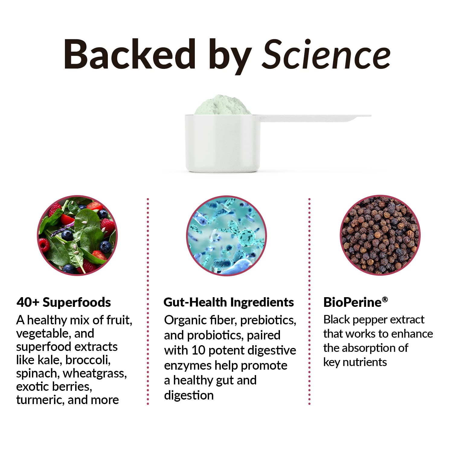 FORCE FACTOR Smarter Greens Daily Wellness Powder to Support Energy, Immunity & Digestion Force FactorBuy Supplements Australia